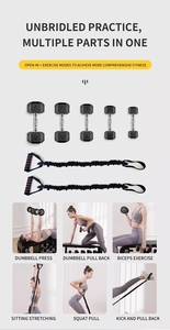 Vendita calda all'ingrosso multifunzionale panca Fitness fasce di resistenza allenamento con comodo stoccaggio - Product Image 5