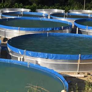 Attrezzatura per Acquacoltura: Vasche per Pesci in Tela di Ferro Zincato Ecologico da 4m di Diametro, Alta Resistenza, Senza Perdite, per Esterni (Nile) - Product Image 4