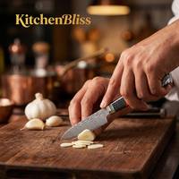 KitchenBliss 3,5 inch Damascus Schilmes 67 Lagen Professioneel Japans Fruitmes Aangepast Utility Mes