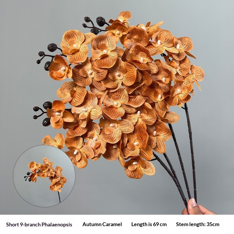Short-style 9-pronged Phalaenopsis orchid