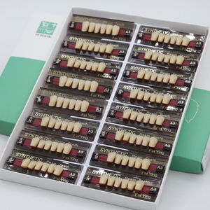 Prothèse <span class=keywords><strong>dentaire</strong></span> manuelle en résine acrylique <span class=keywords><strong>artificielle</strong></span>, dents antérieures et postérieures, incisives, molaires - Product Image 3