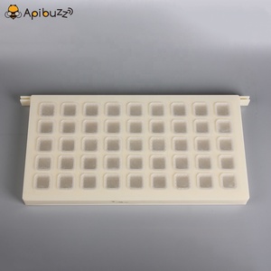 Queen-Kits de marco de almacenamiento para cría de abejas, dispositivo de apicultura, reemplazo de reina antigua, herramientas de prisión, suministros de equipo - Product Image 3