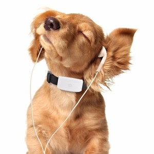 Traceur GPS pour chien TKSTAR <span class=keywords><strong>TK911</strong></span> Mini traceur GPS étanche Localisateur pour chat - Product Image 5