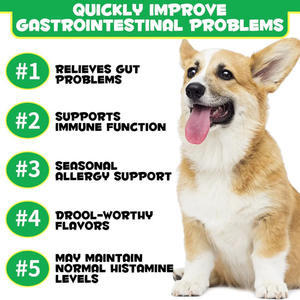 Marque privée/Logo Suppléments de soins de santé pour animaux de compagnie Probiotic Immune Soft Chews pour aider à maintenir une bonne flore intestinale et Ph - Product Image 2
