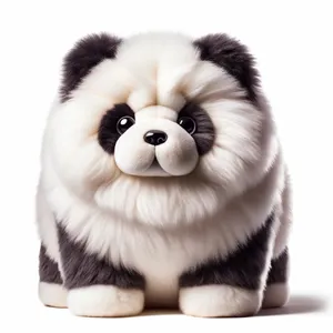 2024 thiết kế mới Panda Dog Thú nhồi bông búp bê phim hoạt hình Squishy mềm Chow Chow Panda đồ chơi sang trọng