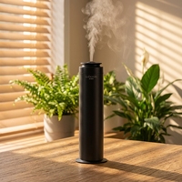 Diffuseur d'air frais pour voiture OEM ODM, diffuseur de parfum électrique intelligent, machine à parfum en aluminium portable rechargeable sans fil pour concessionnaire automobile