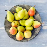 Bioverse Factory Supply Pyrus Pyrifolia Sap Extract Spray Gefreeze-droogd Peer Fruitpoeder
