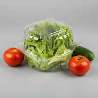Barquette en plastique transparent pour fruits et légumes, boîte de présentation pour produits frais, contenants carrés transparents de 500 g