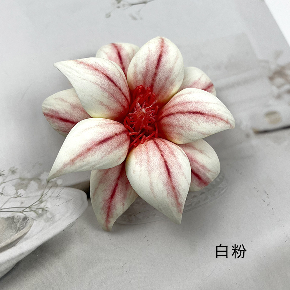 ผงสีขาวสองชั้น