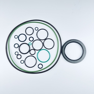 A4vo A6vs500 a6vm a7va a 7vo a10vec60 a11vo a a 15vo Bvd20 a28vo130 हाइड्रोलिक पंप मोटर मरम्मत किट सील किट पंप - Product Image 2