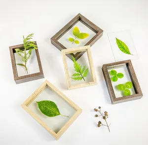 DIY Frame Double-Sided Glass Frame Desktop Ornaments European Style Dried Flower Leaves Specimen Box
