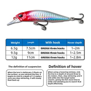 Leurre Artificiel Dur Minnow 75mm 90mm 110mm pour Pêche en Eau Douce, Coulant Lent, Yeux 3D en ABS, Hameçons 6066 pour Rivière - Product Image 4