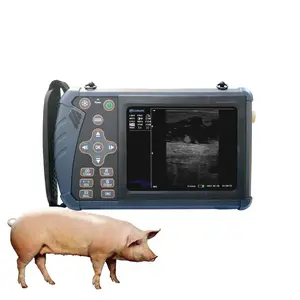 Sức mạnh nhà máy Giao hàng nhanh DOPPLER giá Scanner thú y Máy bác sĩ thú y siêu âm