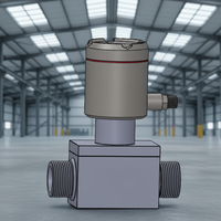 Medidor de Flujo Electromagnético Compacto DN10-DN65 de Acero Inoxidable, Alta Precisión ±1%, Sensor de Flujo de Agua Líquida para Uso Industrial