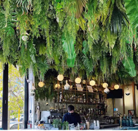 Plante verte artificielle M105 Décoration de plafond Restaurant Hôtel Décoration suspendue Arbre Vigne Décoration de plafond de mariage