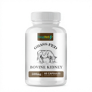 Cápsulas de Riñón de Res 100% Alimentada con Pasto, Marca Privada FocusHerb, 500mg, 60 Cápsulas/Botella, Certificación Halal, Apoyo Inmunológico - Product Image 1