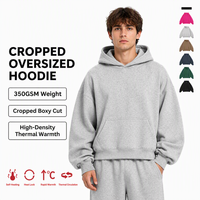Sweat-shirt à capuche unisexe de haute qualité, brodé DTF DTG, doublé en polaire, chaud, coupe ample, streetwear, sweat-shirt à capuche pour hommes