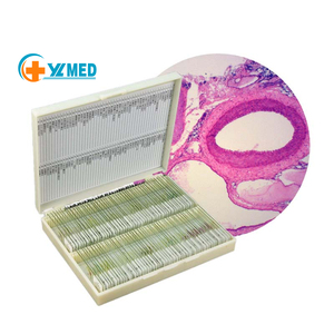 Juego de 100 Portaobjetos Preparados de Histología Humana Suministrados por la Fábrica, Portaobjetos de Microscopio Preparados de Histología Humana - Product Image 1