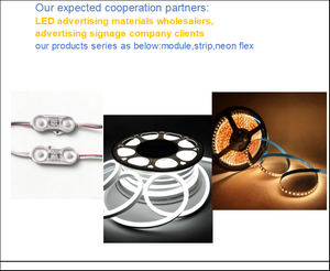 Módulo LED OEM 9V SMD2835 Blanco Cálido IP68 Regulable para Letreros Retroiluminados y Cajas de Luz - Product Image 5