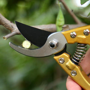 กรรไกรตัดแต่งกิ่ง Mountain Wisteria 108T ใบมีด 70 มม. เหล็กกล้าคาร์บอน ดีไซน์แบบผีเสื้อ สำหรับตัดแต่งต้นไม้ผลไม้ ดอกไม้ บอนไซ และทำสวน - Product Image 2