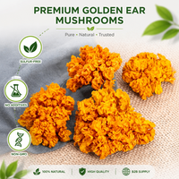 Hongo Oreja de Oro Seco Premium |   Tremella Aurantialba Silvestre |   Hongo Amarillo con Alto Contenido de Colágeno |   Precio de Fábrica |   Venta al por Mayor OEM