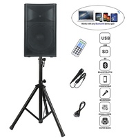 Ensemble de karaoké sans fil professionnel 500W avec haut-parleur 15 pouces, système audio DJ/PA, micro TWS, télécommande et écho