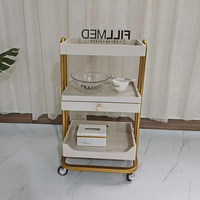 Chariot de luxe léger haut de gamme pour salon de beauté, gestion de la peau, chariot avec étagère de rangement en bois, chariot à outils en métal et en plastique