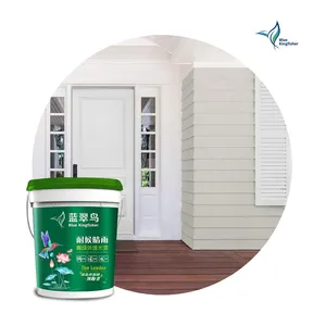 Ad alte prestazioni resistenza alle macchie lavabile inodore all'interno della parete di vernice in polvere per esterni tetto parete impermeabile vernice di rivestimento
