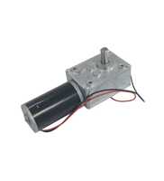 Moteur à vis sans fin autobloquant DC 24V à couple puissant, boîte de vitesses turbo en métal Geotor, arbre inversé type D, faible vitesse, 70 kg.cm