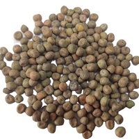 Pois d'érable séchés de qualité supérieure, origine chinoise, pois d'érable pour la germination