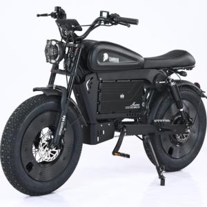 Bicicleta Eléctrica de Montaña HCBK 2025 con Llantas Gruesas, Batería de Aluminio y Litio de 30AH/60AH, 20 Pulgadas, Negra - Product Image 2