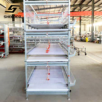 Nouveau système d'élevage de poulets et de canards en acier galvanisé de type H automatique avec utilisation facile pour les poules pondeuses et les poulets de chair