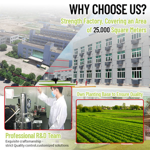 <span class=keywords><strong>Semi</strong></span> <span class=keywords><strong>di</strong></span> Zucca Tostati Croccanti Weng Caiji, Snack Proteico Salutare 250g, Mix <span class=keywords><strong>di</strong></span> Frutta Secca Naturale Vegana Personalizzabile per Regali, Ufficio, Feste - Product Image 5