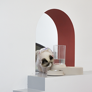 2 in 1 ciotole per cani e gatti Set per alimenti per animali domestici e ciotola per bere acqua resistente ciotola staccabile per cani e gatti - Product Image 4