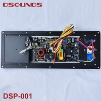 Module d'amplificateur actif 500W, module d'amplificateur professionnel de classe D, 2 voies pour caisson de basses et enceinte colonne avec DSP