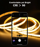 Bande LED COB à double blanc 3000K+6000K, effet d'eau courante pixelisée, 24V, adressable, à flux continu, IP20, Wi-Fi, pour paysage, effet de poursuite de chevaux