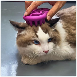 New Product: Pet Cat Massage <b>Brush</b> and <b>Dog</b> Bath Cleaning <b>Brush</b> <b>for</b> Head Massage, Directly Sold by Manufacturer - Product Image 2