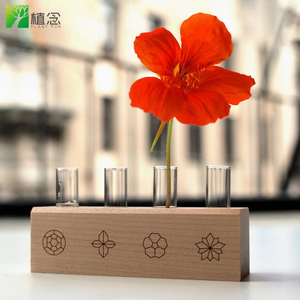 Producto al por Mayor 100% Orgánico Certificado por el USDA, Caléndula, Nasturtium, Flor de Estrella, Menta Limón, Flor Comestible, Kit de Herramientas, Material Digital - Product Image 2