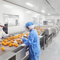 Industriële multifunctionele sap- en jammachine met 304 roestvrijstalen tandwielen en lagers, sapverwerkingslijn