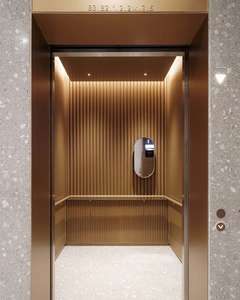 Ascensor Hidráulico para Discapacitados de Tres Pisos para Uso Doméstico, Elevador Eléctrico Pequeño para Casa Residencial, Precio de Elevador - Product Image 1