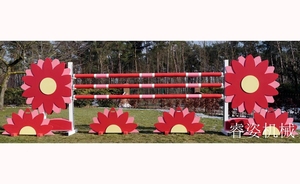 Mostra le ali di salto per il salto dello spettacolo di <span class=keywords><strong>cavalli</strong></span> - Product Image 5