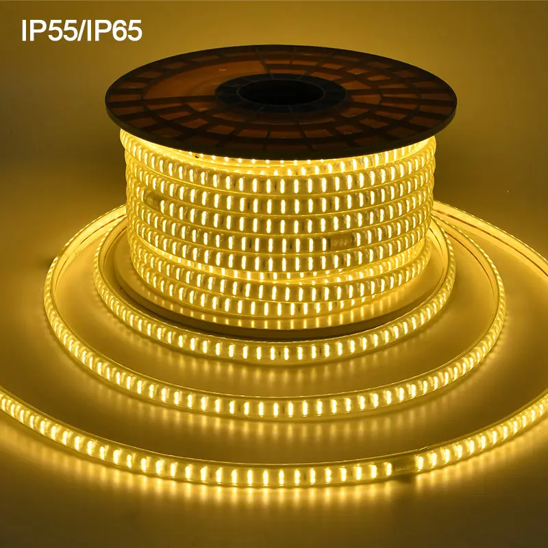 2835-180D-3D-12MM-Double High Lumen outdoor 110V 220V Flexible LED Strip Light