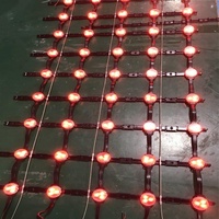Écran souple à grille de source lumineuse ponctuelle LED P100mm