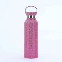 Gourde isotherme en acier inoxydable de 600 ml, pour un usage quotidien
