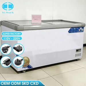 Congelatore Orizzontale OEM/ODM da 289L, Grande Formato Adatto per Uso Domestico e Commerciale, Armadio per Congelamento Profondo a Doppio Uso - Product Image 1
