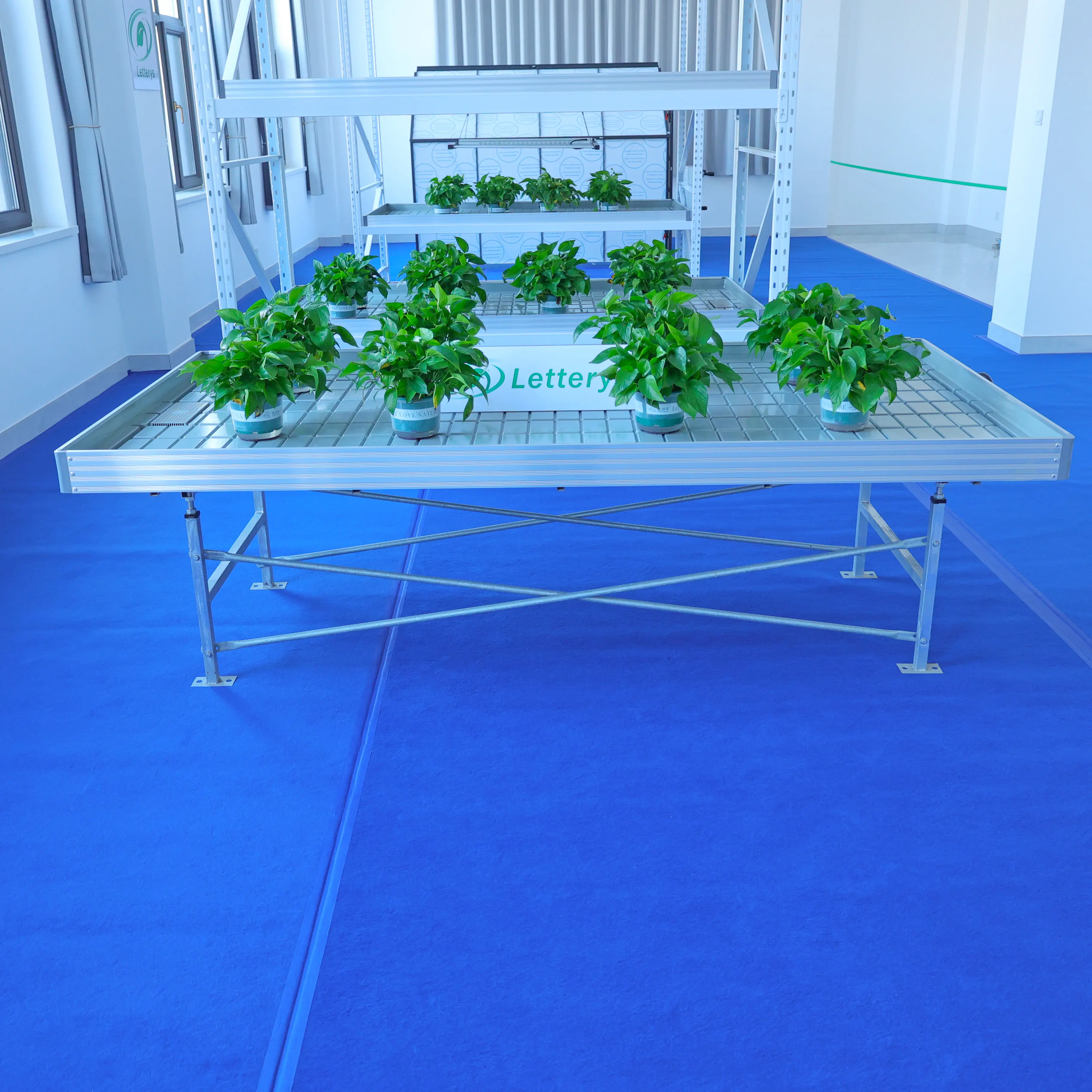 4X8 מלא השפל והזרימה מתגלגל ספסל הידרופוני לגדול שולחן מבול שולחן חממה ספסל השפל זרימת הידרופוני מערכת