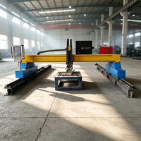 Machine de découpe plasma CNC grand format 3060, découpe plasma et découpe à la flamme, coupe de l'acier au carbone de 0,5 à 20 mm, découpeuse robuste