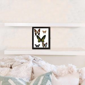Boîte de présentation d'insectes en bois <span class=keywords><strong>noir</strong></span> avec porte en verre transparent, pour objets de collection - Product Image 5