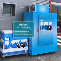 Congélateur vertical commercial à température unique pour l'extérieur, bac de stockage de glace, préservateur de glace pour restaurants