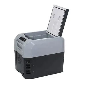 24L Công suất bền vật liệu nhựa du lịch CoolBox làm mát Ice Maker 12V/24V Tủ đông với máy nén